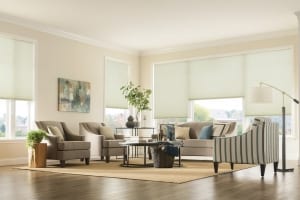 Graber_Cellular_LivingRoom1